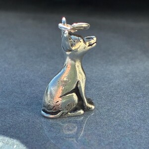 Puede incluir: Un peque&ntilde;o dije plateado con forma de perro sentado, con la cabeza levantada. El dije tiene un lazo en la parte superior para sujetarlo a una cadena. El perro es detallado y tiene un acabado pulido. Un adorno de estilo animal.