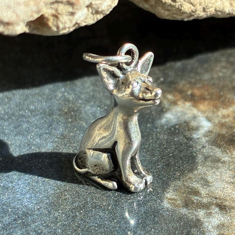 Puede incluir: Un peque&ntilde;o dije plateado con forma de perro sentado. El dije tiene un lazo en la parte superior para sujetarlo a un collar o pulsera. El perro tiene orejas puntiagudas y una cara detallada. El dije probablemente est&aacute; hecho de metal.