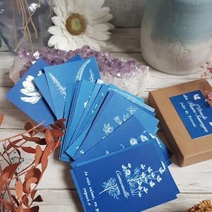 Cartes mantras Oracle des Fleurs Sauvages, 22 cartes. cyanotype