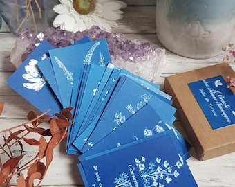 Cartes mantras Oracle des Fleurs Sauvages, 22 cartes. cyanotype