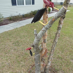 PVC Bird - Large Woodpecker