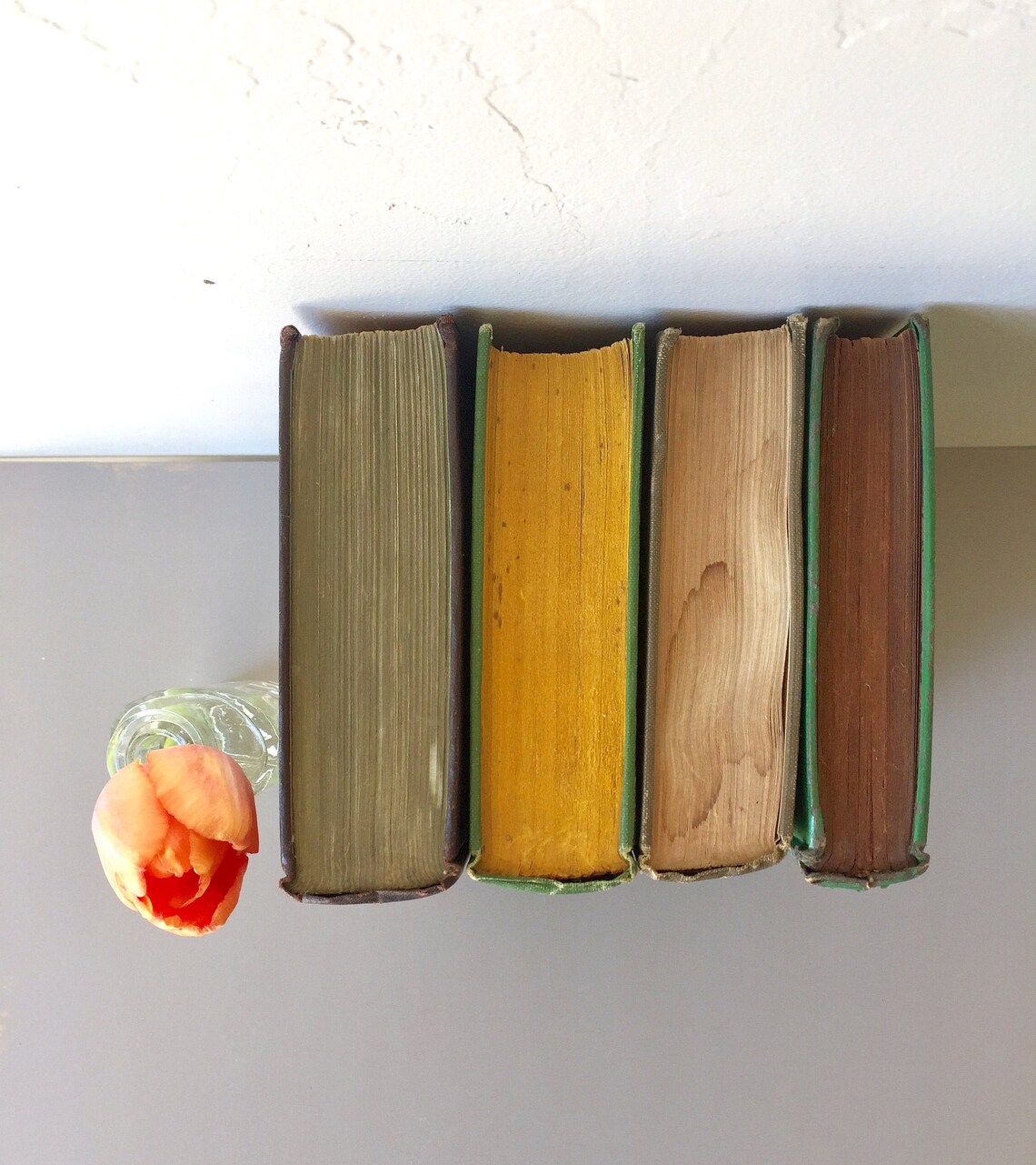 Green and Brown Decorative Books Set of 4 Hardbound / Spring Etsy