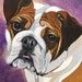see more listings in the Breed Note Cards section
