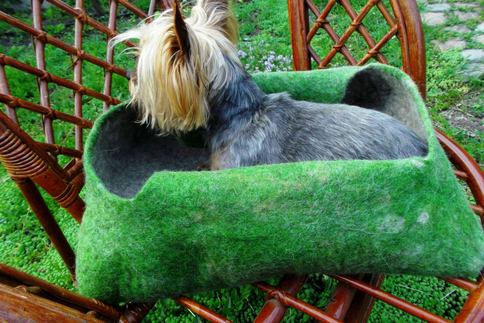 Felt Cat Bed Beige and Green Bed bag Cave for Your Pet Etsy