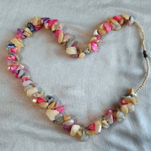 Puede incluir: Un collar hecho de diferentes piezas de concha de colores y texturas. El collar est&aacute; enhebrado en un cord&oacute;n blanco delgado y tiene un cierre marr&oacute;n.