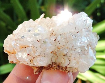 Apophyllite Cluster from India: 1.9" Inch 72 gm Healing Crystals Rocks & Geodes Birthstone Gemstone Chakra Energy Raw Rough