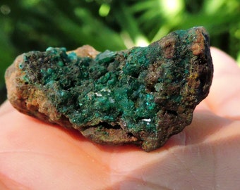 Dioptase Shattuckite, 1.5" Inch 14 gm