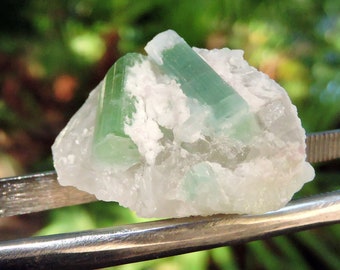 Green Tourmaline on Quartz Crystal 1.4" Inch 35mm 18gm Stone Mineral Specimen Gift Sale Store Shop Rough Rocks & Geodes And Matrix