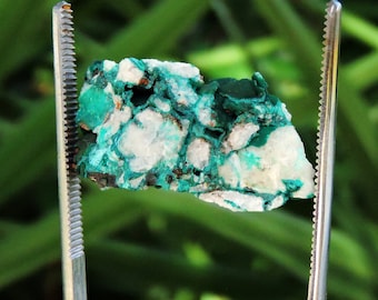 Stunning Pseudo Malachite Mineral from Portugal: 1.3 Inches, 22g - Ideal for Collectors Stone Raw Store Shop  Rocks & Geodes