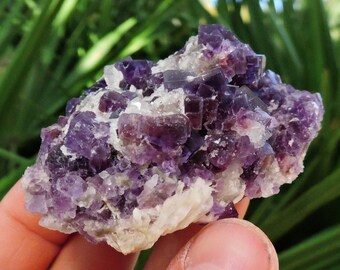 Purple Fluorite Matrix from Spain, 2.9" Inch 143 gm Crystal Stone Shop Specimen Mineral Sale Rocks & Geodes Collector Cubic Mine Rockhound