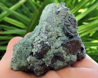 Unique Galena Mineral Specimen with Green Chlorite Inclusions from Bulgaria, 2" Inch Crystal Stone Shop  Raw Rocks & Geodes
