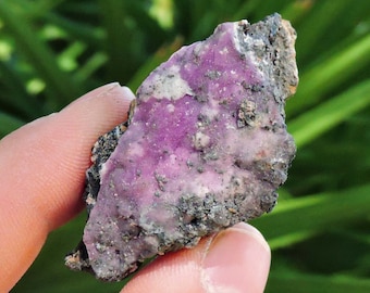 Pink and Purple Cobalt with Aragonite, 2" Inch 30gm Stone Store Shop  Rocks & Geodes Mine Raw Crystal Clear Birthday Gift Rough Mineral