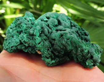 Exquisite Malachite Mineral Specimen from the Jungles of Congo: A Striking Dark Green Beauty, 3" Inch 128gmRocks & Geodes