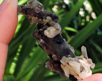 Smoky Quartz and Black Tourmaline on Feldspar 2.2"  22 gm Raw Mineral Specimen Collectors Item Grounding Crystal Rare Stones