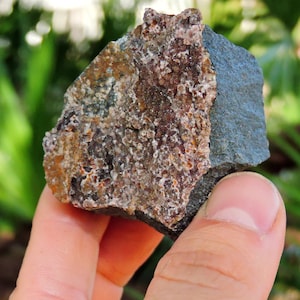 May include: A hand holds a rough, multi-colored rock. The rock has a dark blue-gray section and a textured, brown and white section. The background is blurred green foliage.