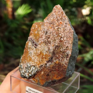 May include: A rough-hewn mineral specimen with a layered appearance. The top section features a rusty brown hue with a crystalline surface, transitioning to a darker, slate-gray base. The specimen is displayed on a clear stand.