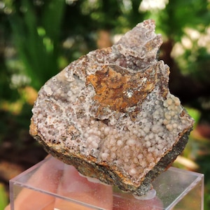 May include: A natural mineral specimen featuring a rough, textured surface with a mix of brown, gray, and white colors. The surface is covered with small, spherical formations, creating a unique, organic appearance. The specimen is displayed on a clear stand.