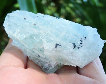 Natural Brazilian Aqua Marine Crystal: 2.7 Inches, 84g - Minerals Specimen Rocks & Geodes  Store Shop  Raw