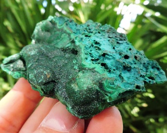 Green Velvet Malachite Stone with Chrysocolla Inclusions, 3.3" Inch 90gm | Natural Crystal Mineral Specimen for  |  Raw Rocks & Geodes