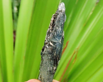Rare Blue Kyanite with Black Mica from Zambia - High-Quality Semi-Translucent Mineral, 3.1" Inch Stone Store Shop Sale Rocks & Geodes   水晶