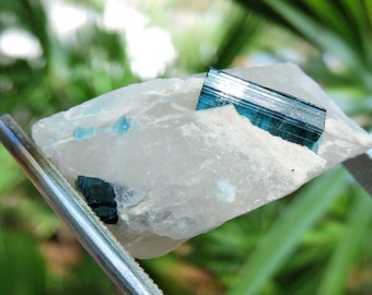 Raw Green Tourmaline with Quartz Crystal: A Natural and Striking Mineral Specimen, 2 Inches (50mm)石＆ジオード   水晶