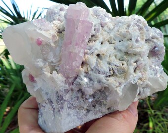 Stunning Pink Tourmaline, Lepidolite, and Quartz Specimen from Afghanistan | 4" Inch Raw Crystal for Sale at Stone Store |