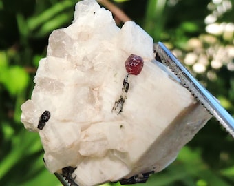 Stunning 1.3" Inch Garnet and Black Tourmaline on Feldspar: A Unique and Striking Addition to Your Crystal Collection Mineral Specimen