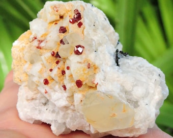 パキスタン産 ガーネット × ブラックトルマリン × フェルドスパー | 原石鉱物標本 146g | コレクター向けクリスタルクラスター 2.3インチ