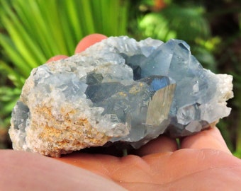 Celestite Crystal Madagascar, 3" Inch 360 gm Store Shop Specimen Rough Raw Mineral Gift Birthday Blue Natural Stone Sale Rocks & Geodes