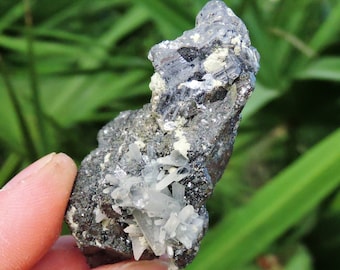 Galena Mineral Specimen  Bulgaria, 2.2" Inch 74gm Stone Raw Store Shop  Display Birthday Gift Rocks & Geodes