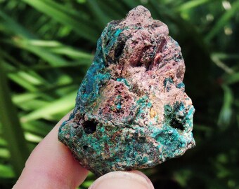 Dioptase Shattuckite with Chrysocolla, 1.8" Inch 52gm Stone Crystal Mineral Specimen Shop Store Rocks & Geodes And Birthday Gift