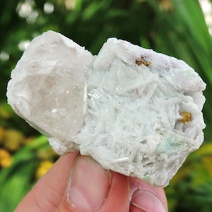 May include: A cluster of white and light green crystals with a larger, clear crystal on top. The crystals are arranged in a natural, organic shape.