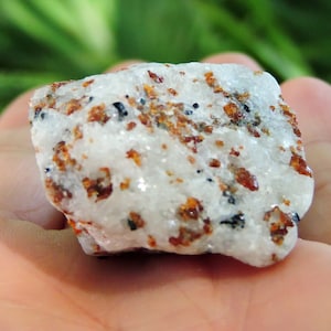 Chondrodite with Diopside and Calcite – Rare Mineral Specimen for Collectors