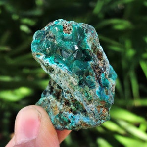 Dioptase & Shattuckite Specimen – 1.6” (52g) | Rare Find from Congo | Raw Mineral Crystal Gift for Collectors