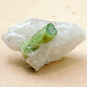 Natural green tourmaline crystal with clear termination sitting on a white albite host rock.