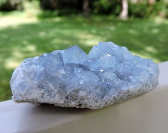 Celestine Specimen Madagascar Rock Shop Store Sale Metaphysical Real Rare Raw Rough Spiritual Gift Mineral Blue Gemstone