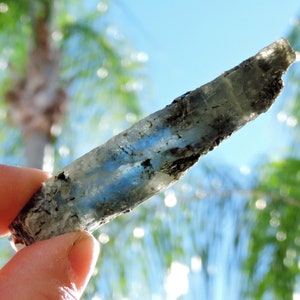 Blue kyanite crystal blade with mica matrix showing natural sheen and elongated bladed form.