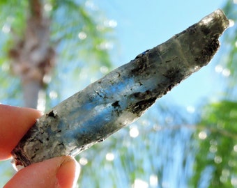 Blue Kyanite with Black Mica - Impressive 3" Inch Specimen Rocks & Geodes Minerals