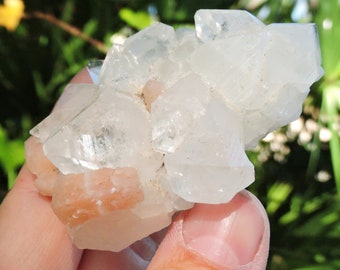 Apophyllite Cluster with Stilbite, 2.8" Inch 106gm - Natural Stone Store Shop  Rocks & Geodes Mine Raw Birthday Gift Rough Mineral