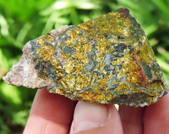 Gold Chalcopyrite with Quartz from Morocco 2.2" Inch: Healing Crystals Rocks & Geodes Birthstone Gemstone Chakra Energy Raw Rough Yellow