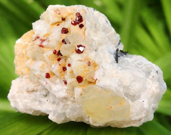 パキスタン産 ガーネット × ブラックトルマリン × フェルドスパー | 原石鉱物標本 146g | コレクター向けクリスタルクラスター 2.3インチ