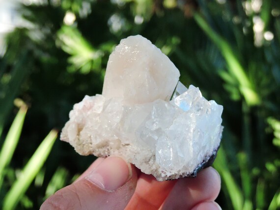 インド産アポフィライト結晶標本（2.5インチ、96g）スティルバイト付き