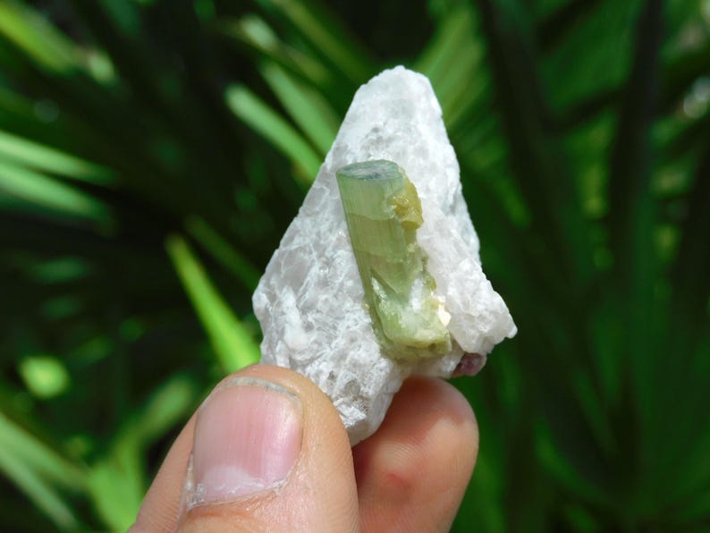 Turmalina verde sobre albita – Elbaíta bicolor de Pakistán / Ejemplar mineral de colección (38 g, 2”) imagen 5