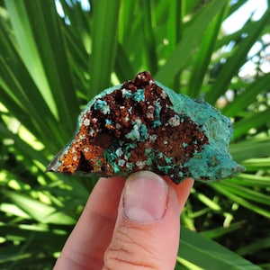 A+ mineraal rosasietmonster – 2” dik 125 g onbewerkt kristal | Unieke Mexicaanse vondst | Geschenken geologie, steen en mineralen