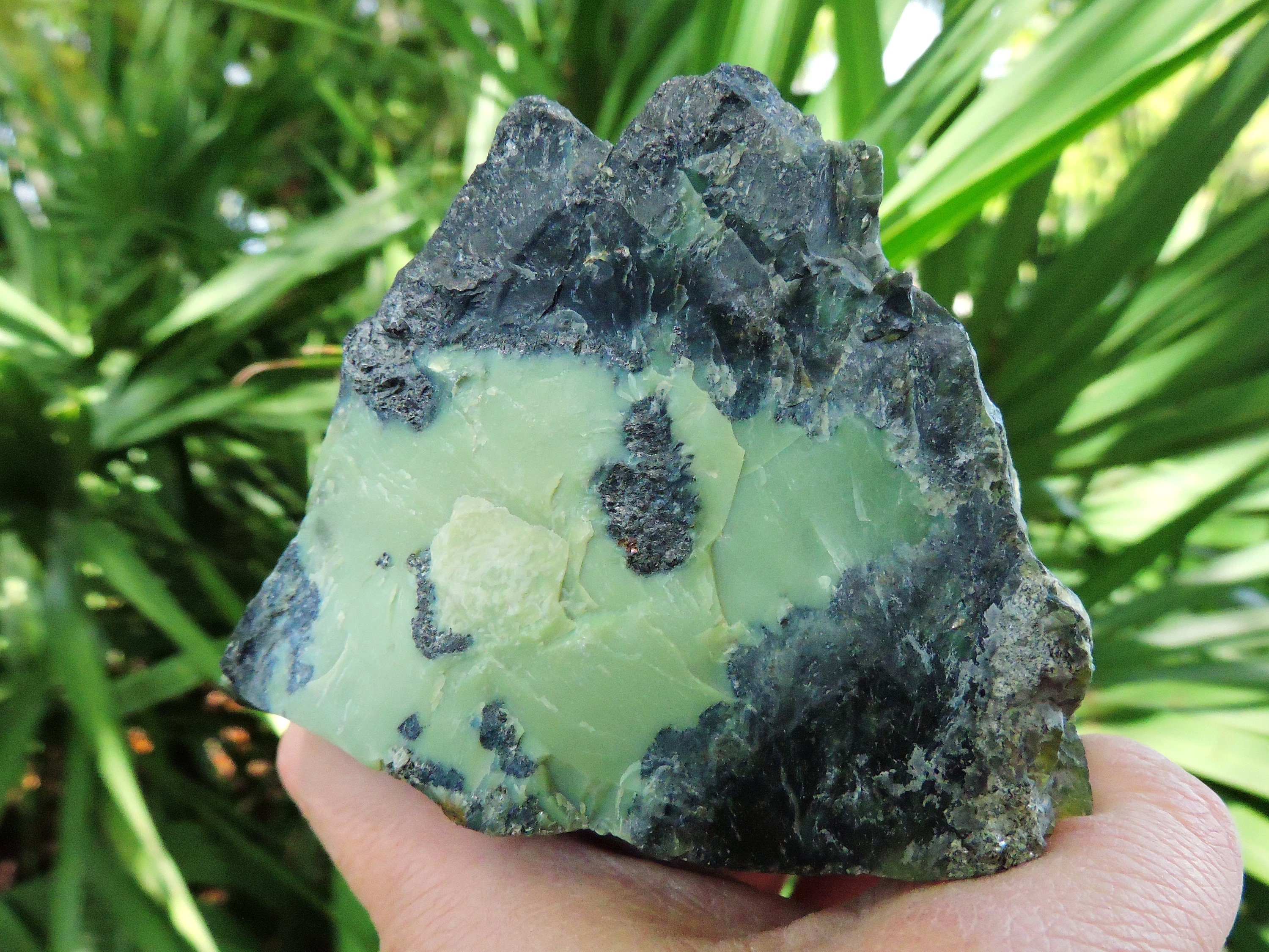 Serpentine With Magnetite Inclusions | Kazakh Mineral Specimen (626 G ...