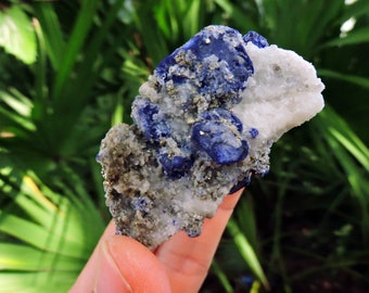 Lapis Lazuli with Pyrite on Calcite Matrix, 2.3" Inch 120gm Raw Stone Mineral Specimen for Sale in Store Shop - Ideal for Collectors