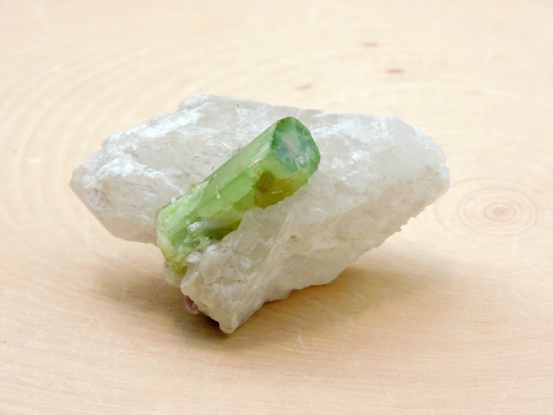 Natural green tourmaline crystal with clear termination sitting on a white albite host rock.