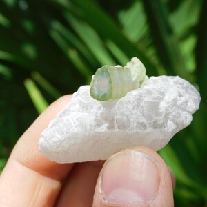 Turmalina verde sobre albita – Elbaíta bicolor de Pakistán / Ejemplar mineral de colección (38 g, 2”) imagen 10