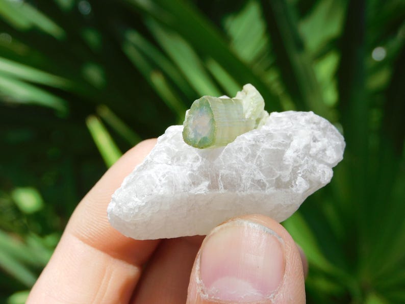 Turmalina verde sobre albita – Elbaíta bicolor de Pakistán / Ejemplar mineral de colección (38 g, 2”) imagen 10