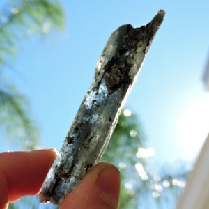 Elongated blue kyanite crystal with silvery mica layers, natural metamorphic specimen.